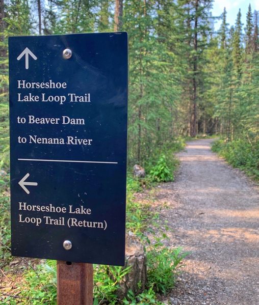 Camper-submitted photo at Sanctuary River Campground — Denali National Park near Denali National Park and Preserve