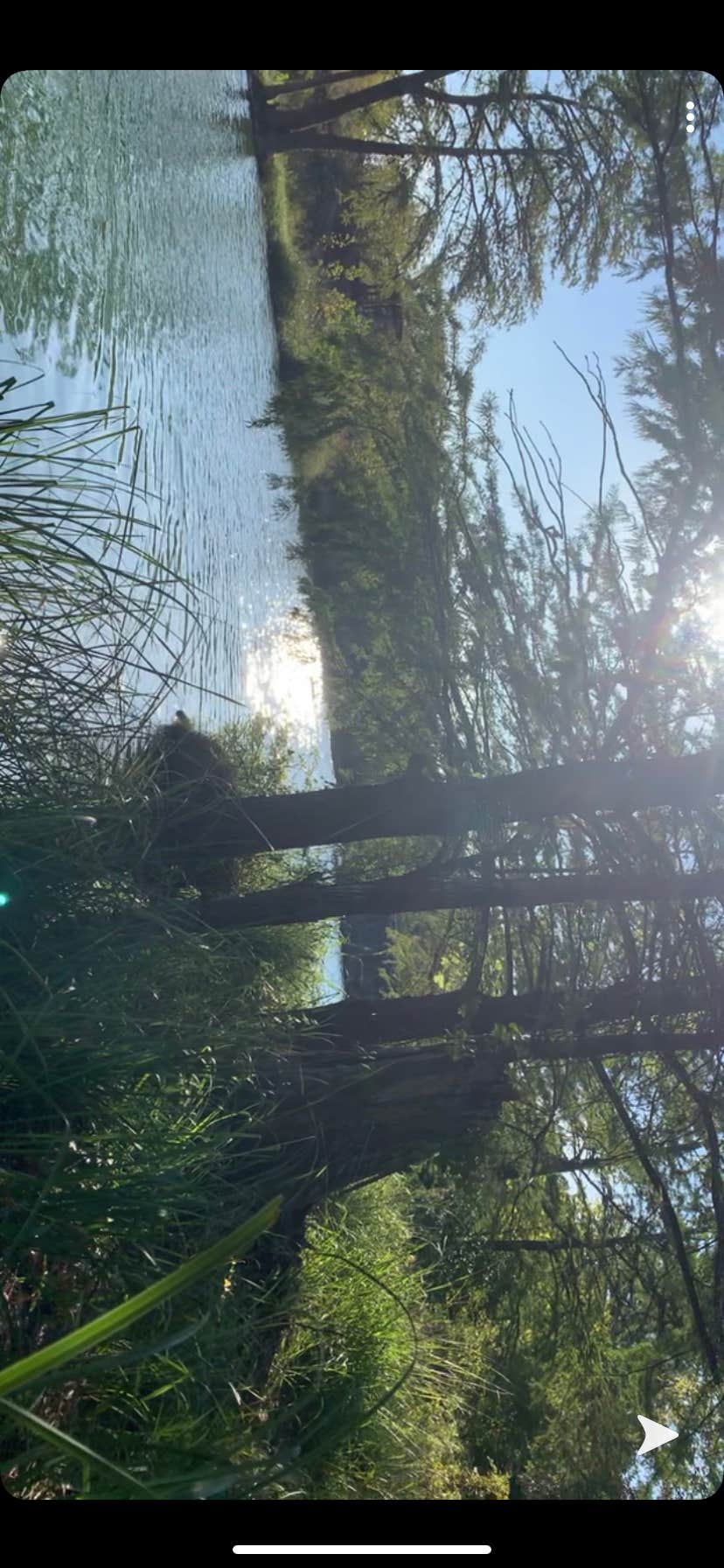Camper-submitted photo at White Bluff Big Rock near Fredericksburg, TX
