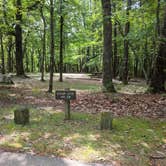 Review photo of Hanging Rock State Park Campground by Brian F., December 28, 2019