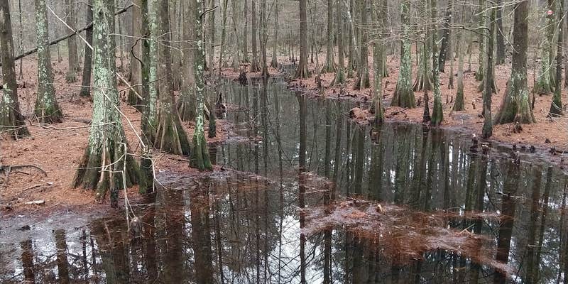 Camper submitted image from Stuart Complex