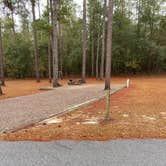 Review photo of Magnolia Springs State Park Campground by Sarah F., December 29, 2019