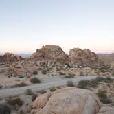 Review photo of Jumbo Rocks Campground — Joshua Tree National Park by Asher K., June 29, 2016