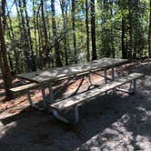 Review photo of Watson Mill Bridge State Park Campground by Lee D., December 29, 2019