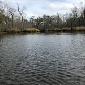 Review photo of Palmetto Island State Park Campground by Tara L., December 30, 2019