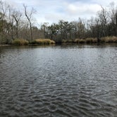Review photo of Palmetto Island State Park Campground by Tara L., December 30, 2019