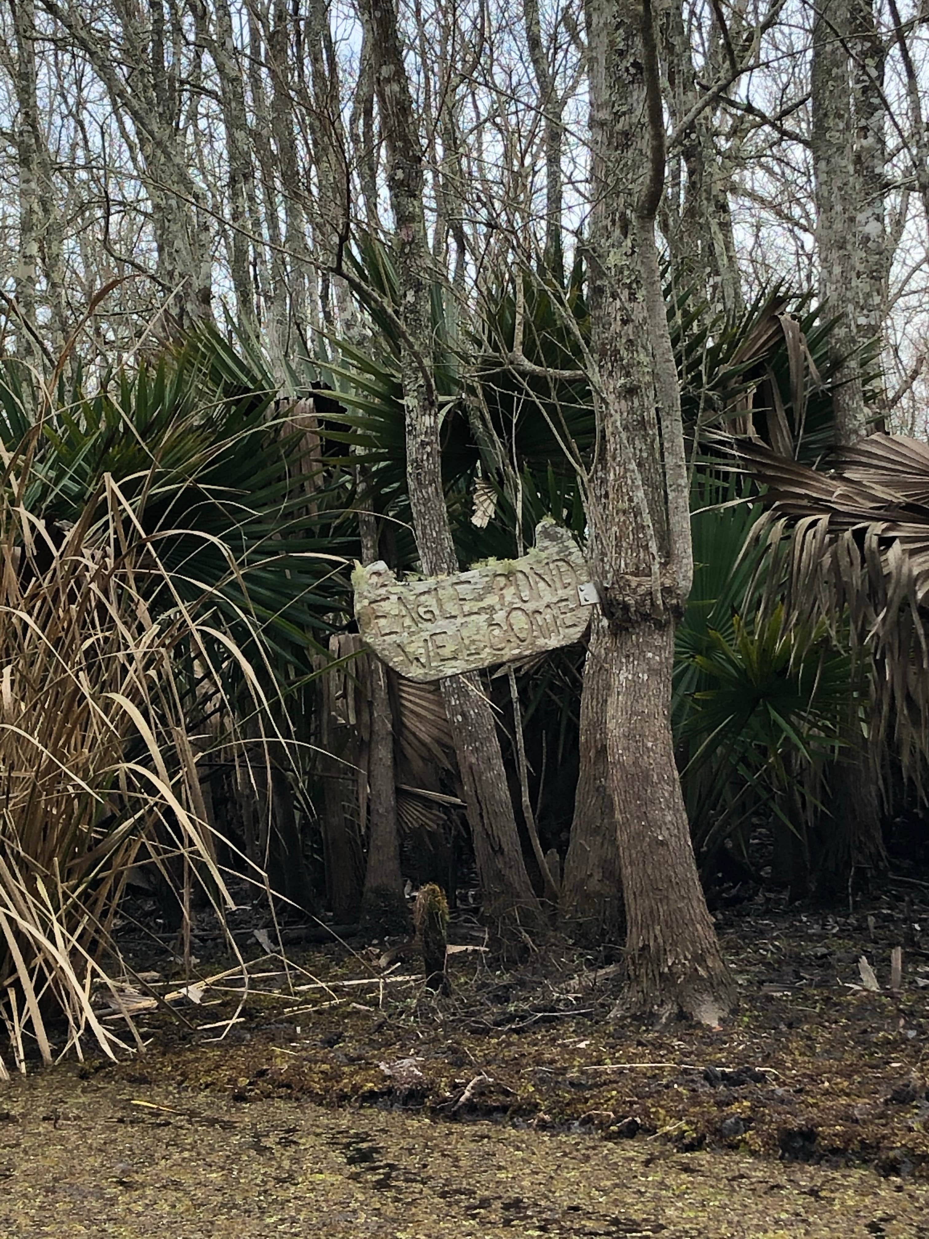Camper-submitted photo at Palmetto Island State Park Campground near Abbeville, LA