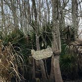 Review photo of Palmetto Island State Park Campground by Tara L., December 30, 2019