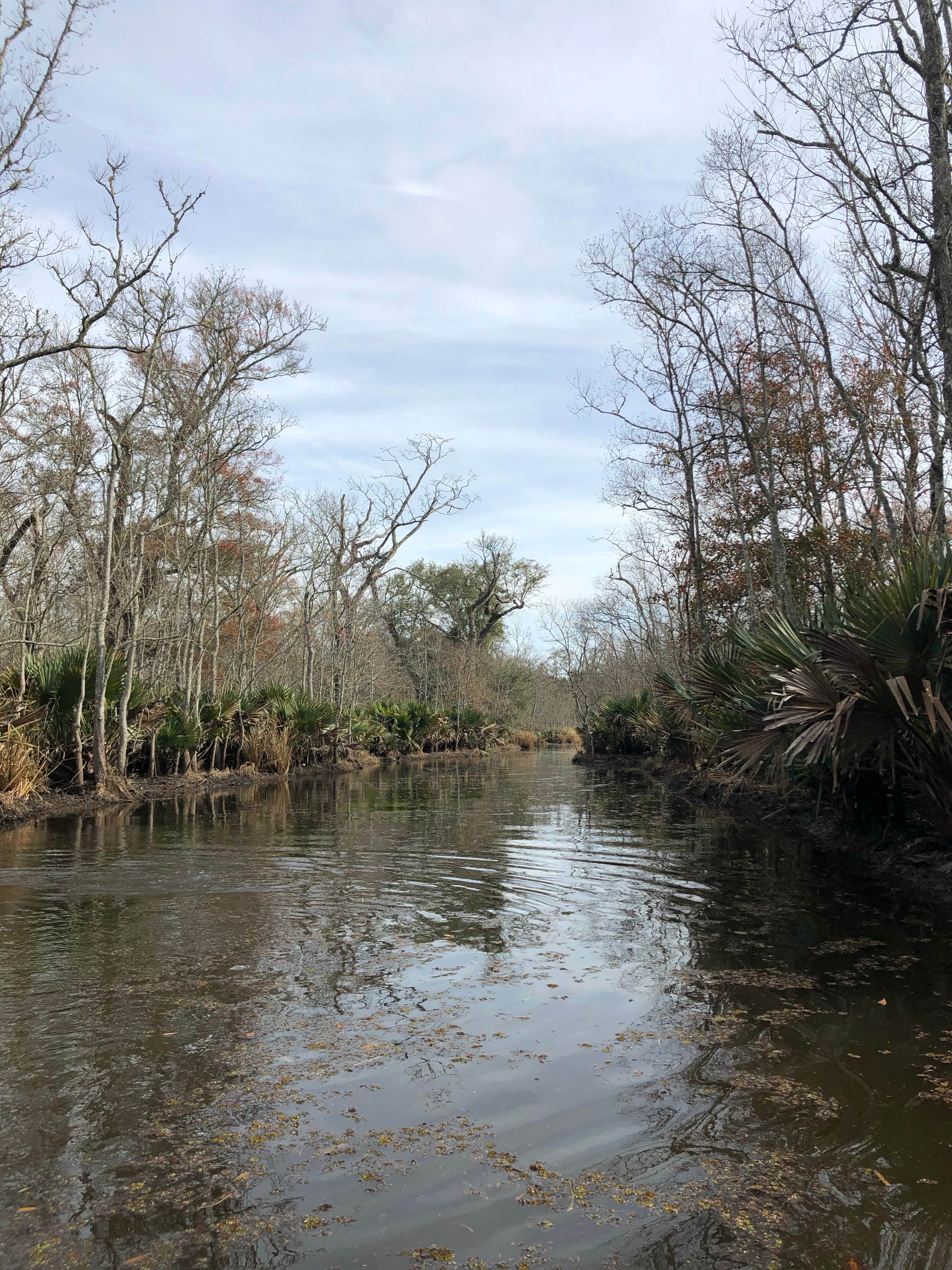 Camper submitted image from Palmetto Island State Park Campground - 2