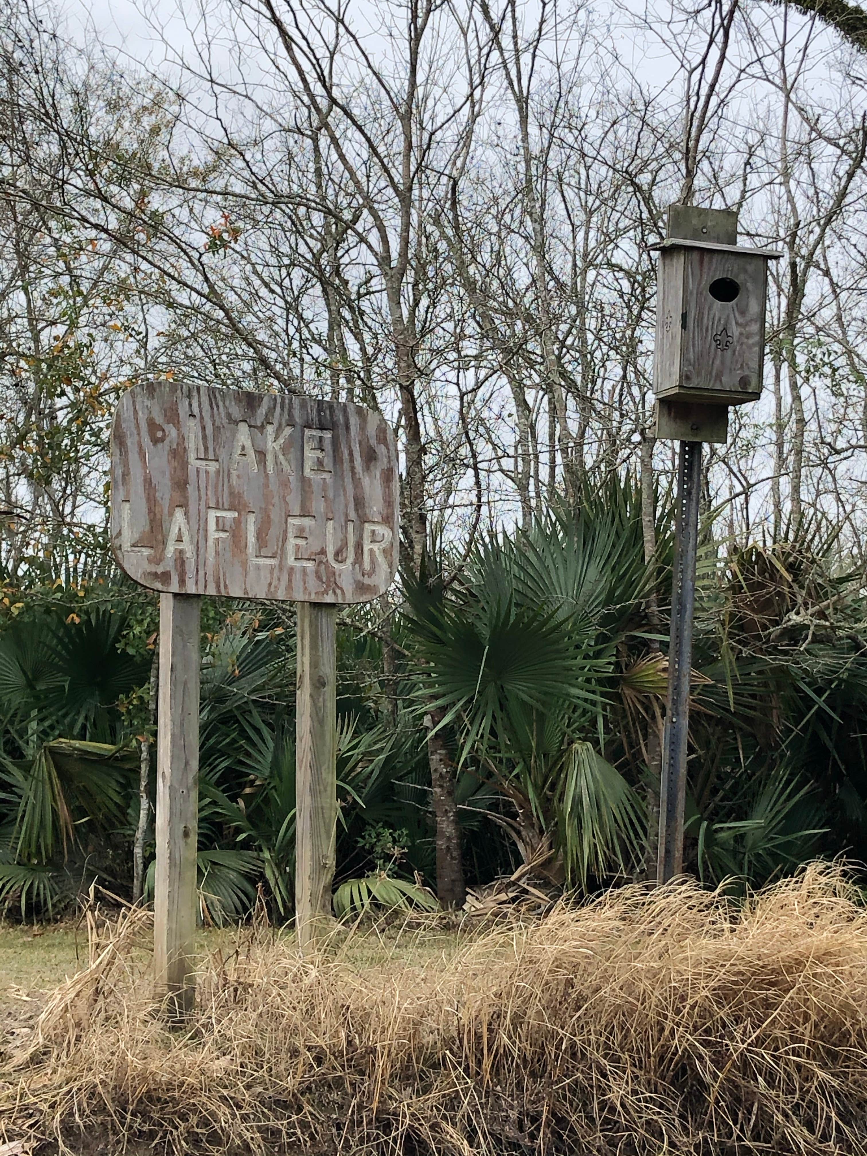 Camper-submitted photo at Palmetto Island State Park Campground near Abbeville, LA