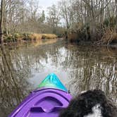 Review photo of Palmetto Island State Park Campground by Tara L., December 30, 2019