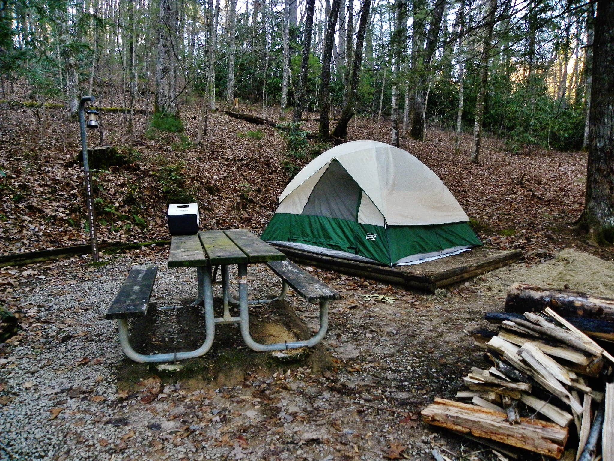 Myron C.'s photo of tent camping at Ammons Branch Campground near Balsam Grove, NC