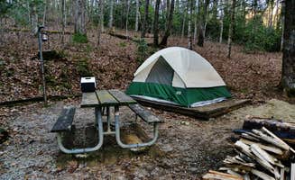 Myron C.'s photo at Ammons Branch Campground near Cashiers, NC