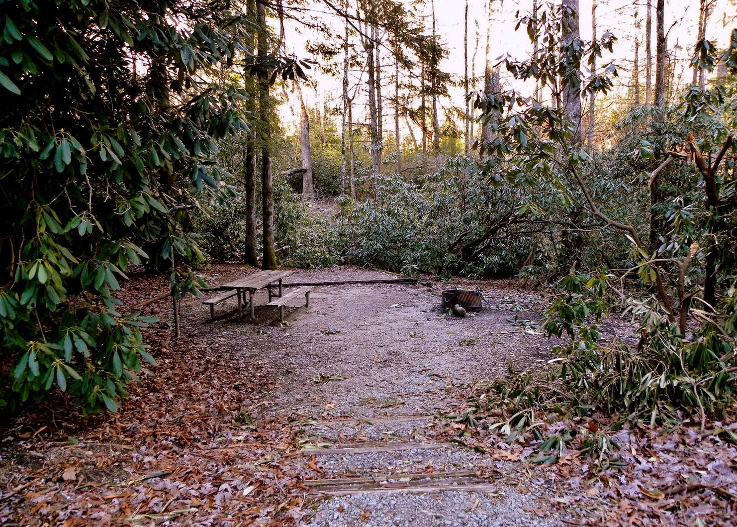 Ammons Branch Campground Camping The Dyrt