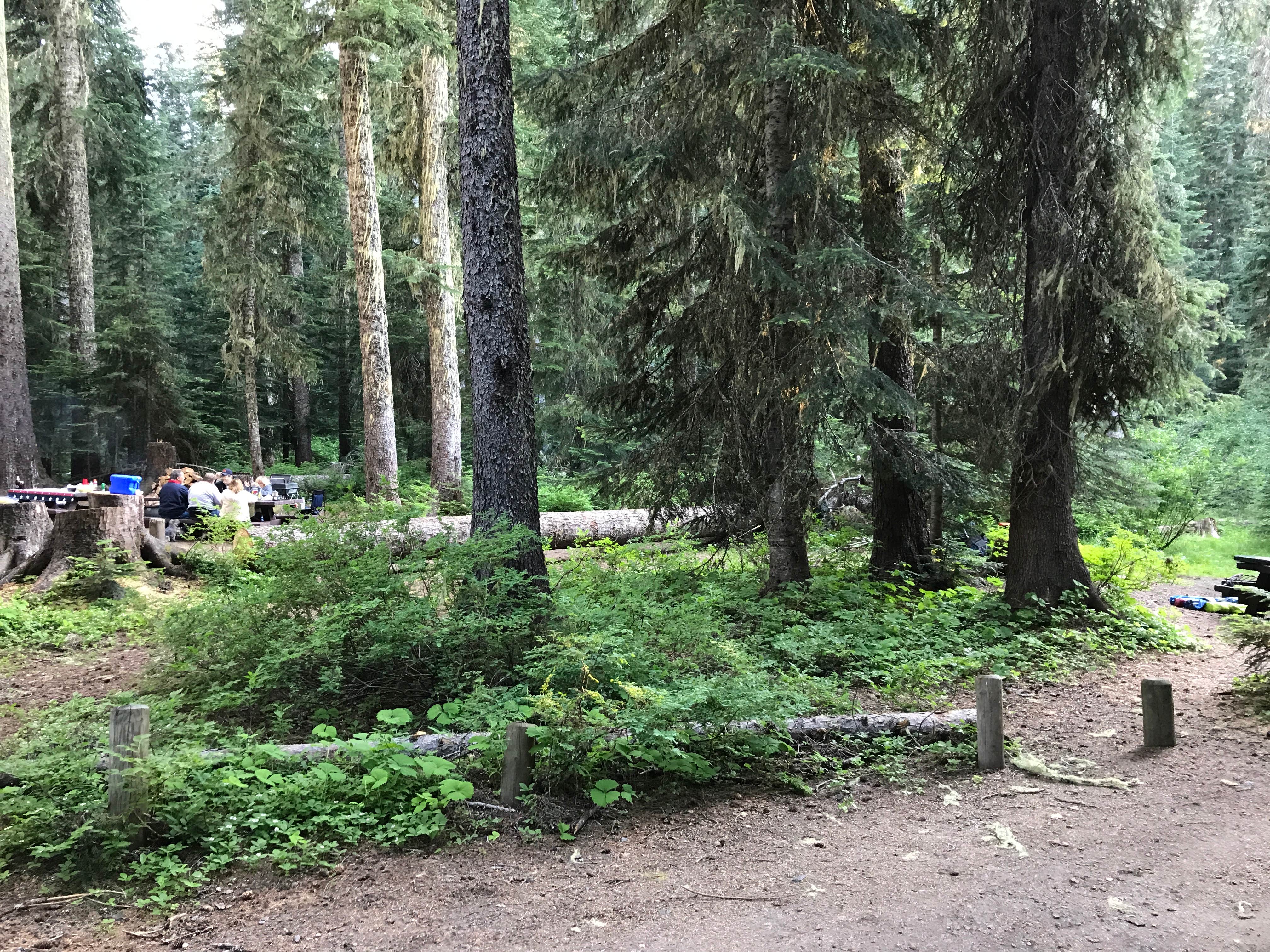 Camper submitted image from Trapper Creek Campground - 2