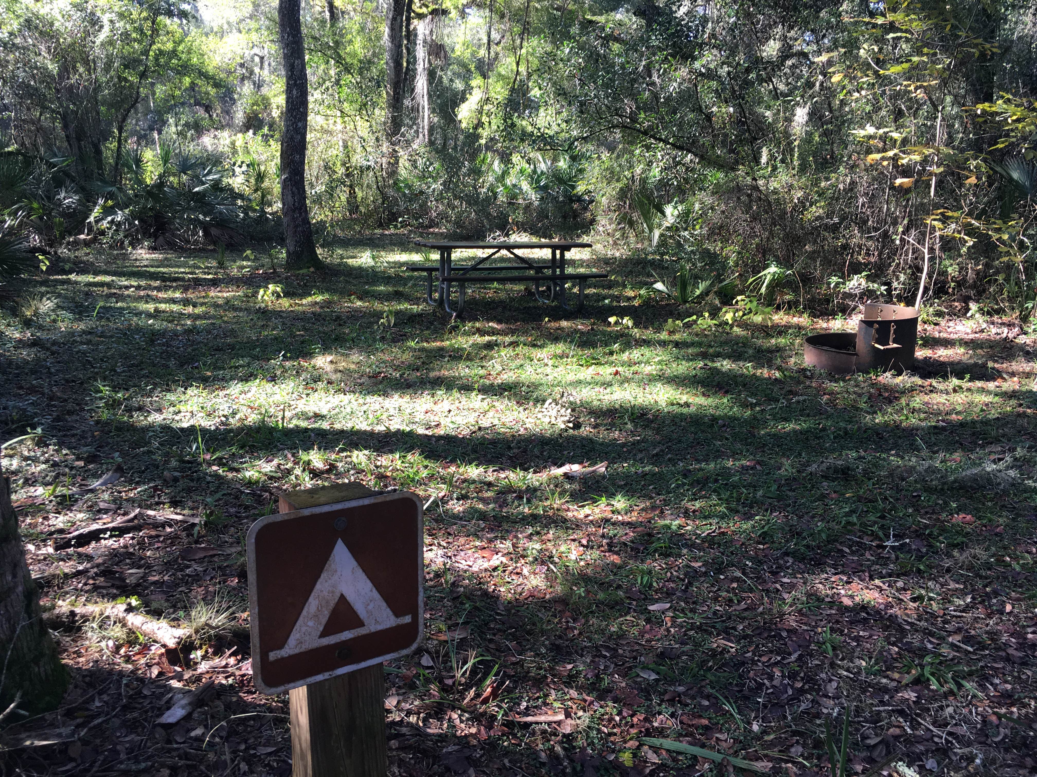 Camper submitted image from Sawgrass Island Preserve - 5