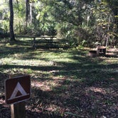 Review photo of Sawgrass Island Preserve by Tracy L H., December 31, 2019