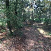 Review photo of Sawgrass Island Preserve by Tracy L H., December 31, 2019