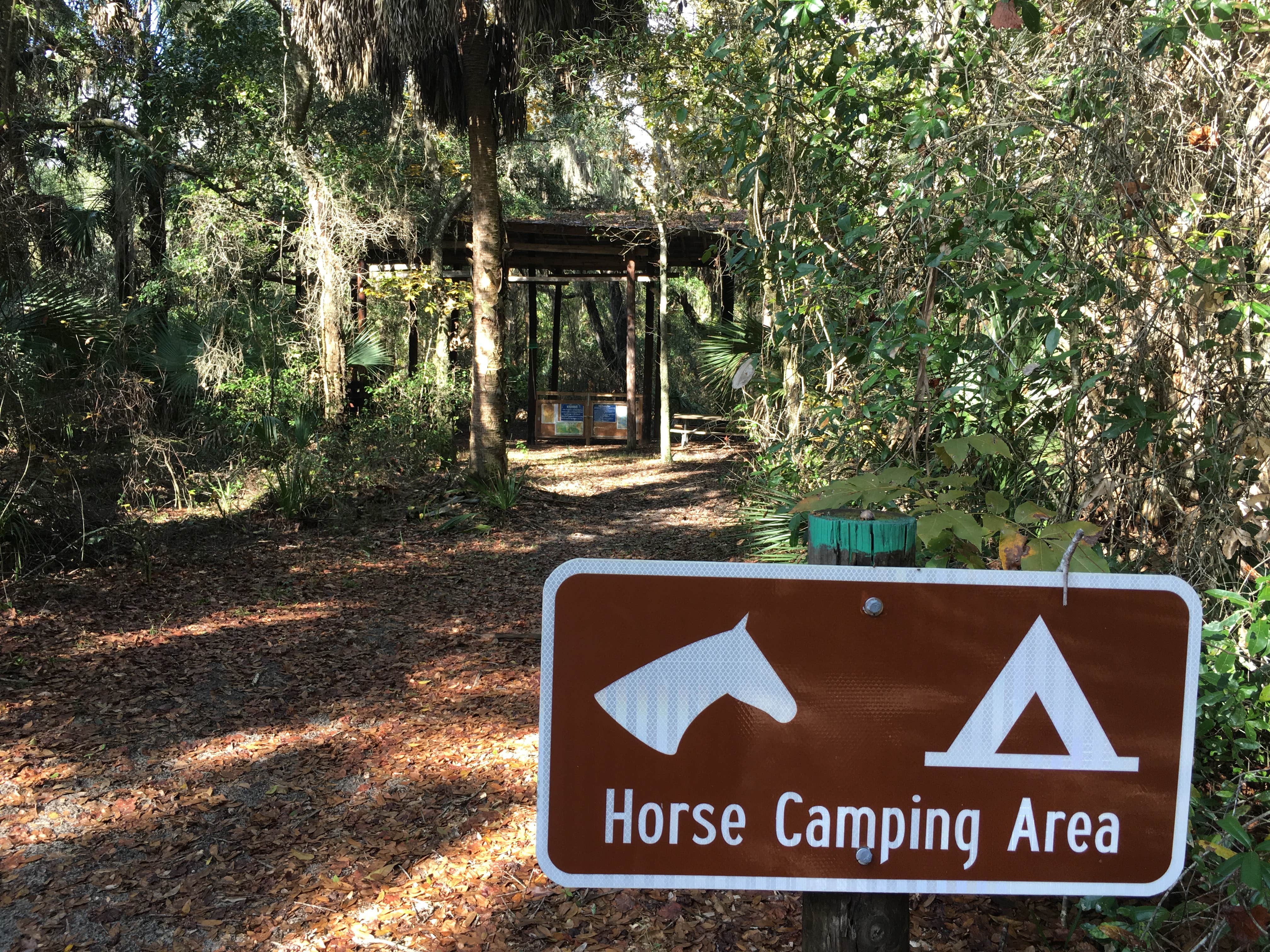 Camper submitted image from Sawgrass Island Preserve - 5