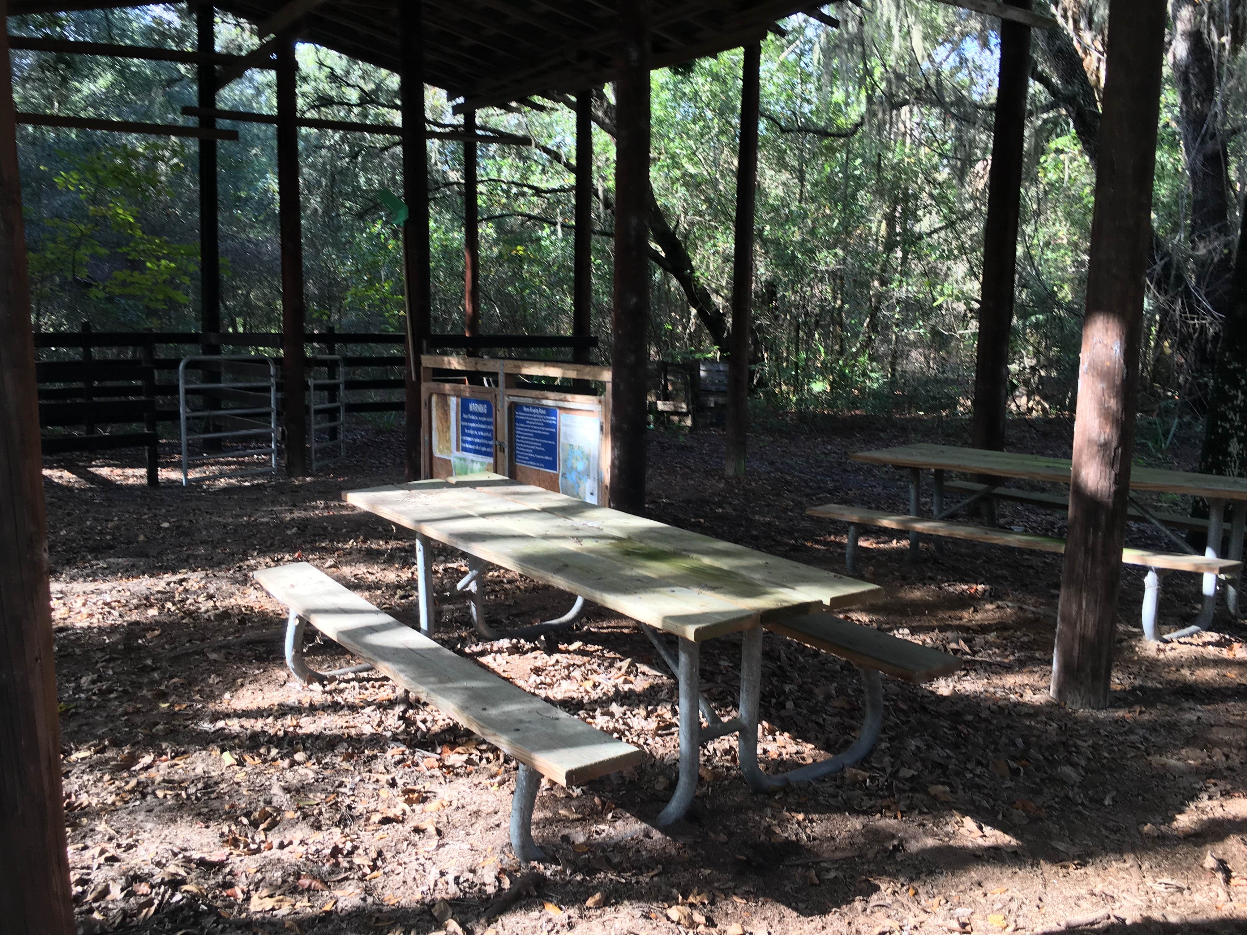 Camping near Ocala National Forest Lake Dorr Campground: Sawgrass Island Preserve, Grand Island, Florida