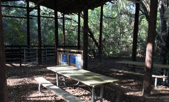 Camping near The Grand Oaks RV Resort: Sawgrass Island Preserve, Grand Island, Florida