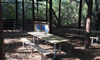 Camping near Doe Lake Group Site: Sawgrass Island Preserve, Grand Island, Florida