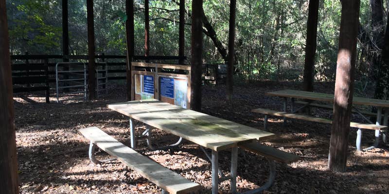 Camper submitted image from Sawgrass Island Preserve
