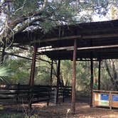 Review photo of Sawgrass Island Preserve by Tracy L H., December 31, 2019