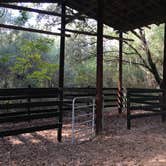 Review photo of Sawgrass Island Preserve by Tracy L H., December 31, 2019