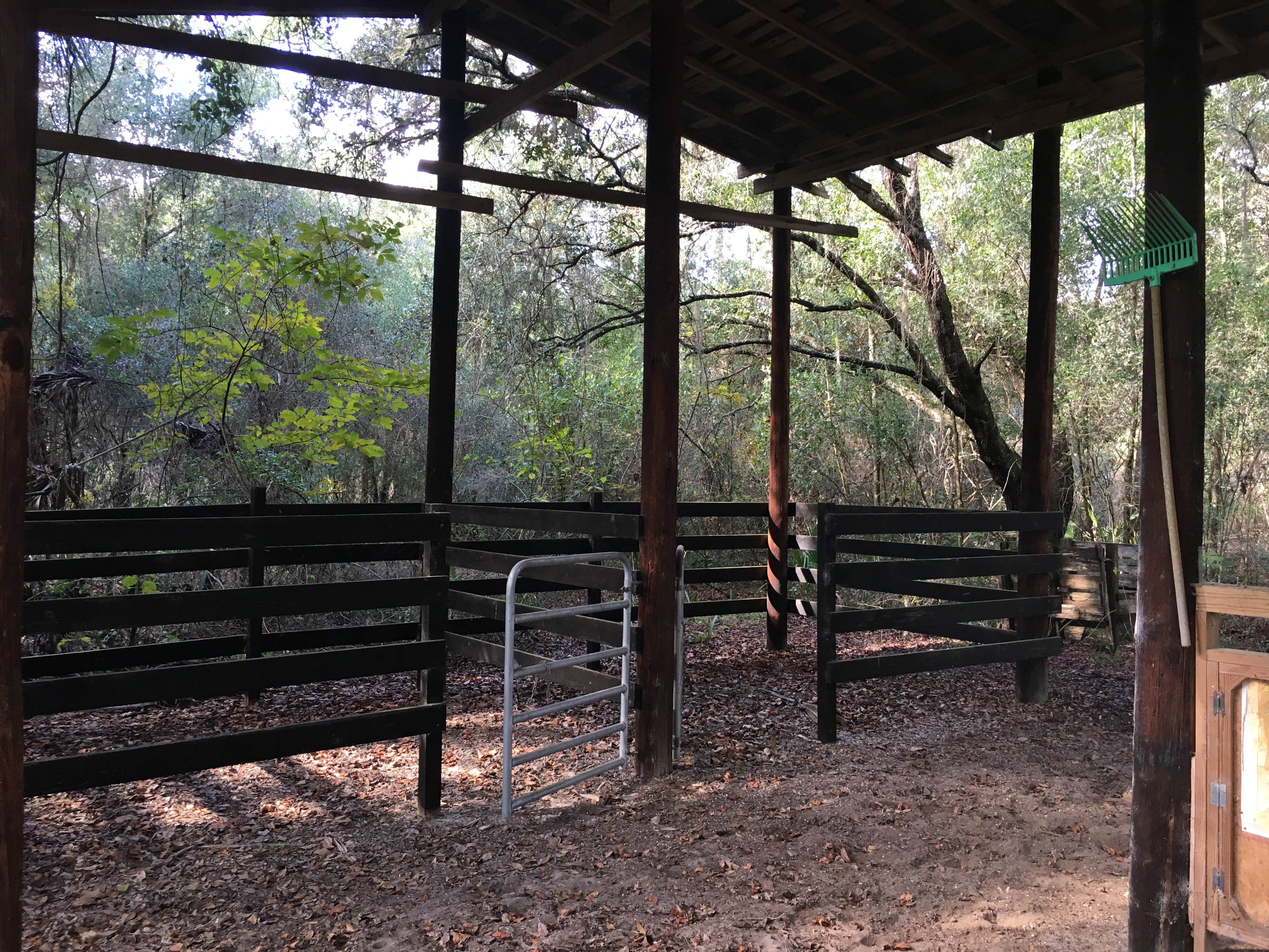 Camper submitted image from Sawgrass Island Preserve - 2