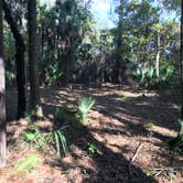 Review photo of Sawgrass Island Preserve by Tracy L H., December 31, 2019