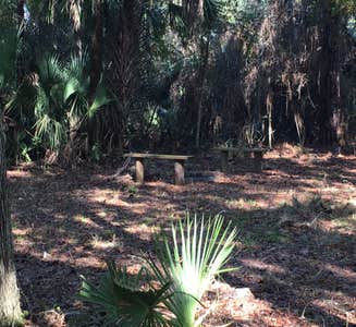 Camper-submitted photo from Sawgrass Island Preserve