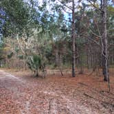 Review photo of Sawgrass Island Preserve by Tracy L H., December 31, 2019