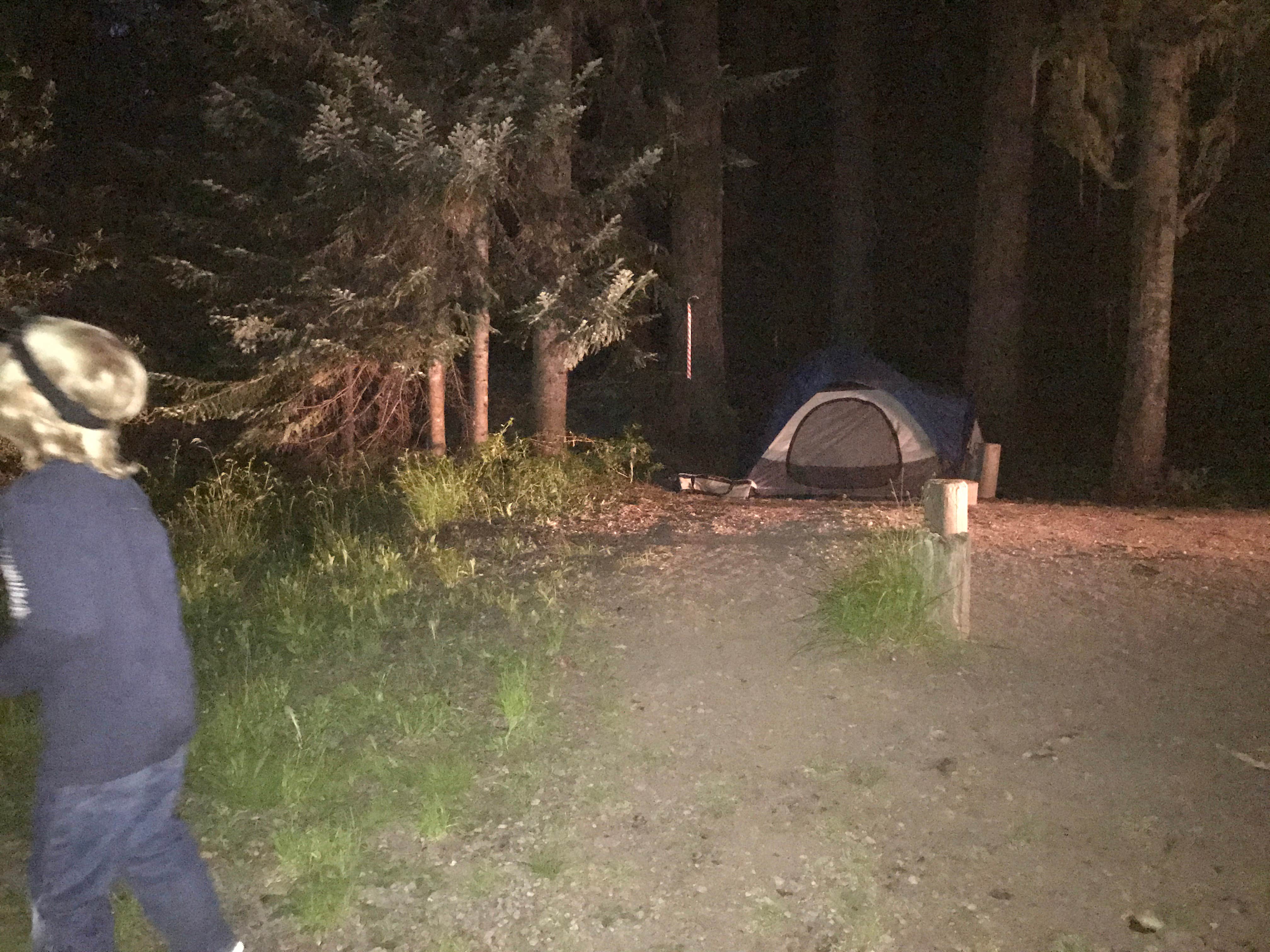 Camper submitted image from Trapper Creek Campground - 4
