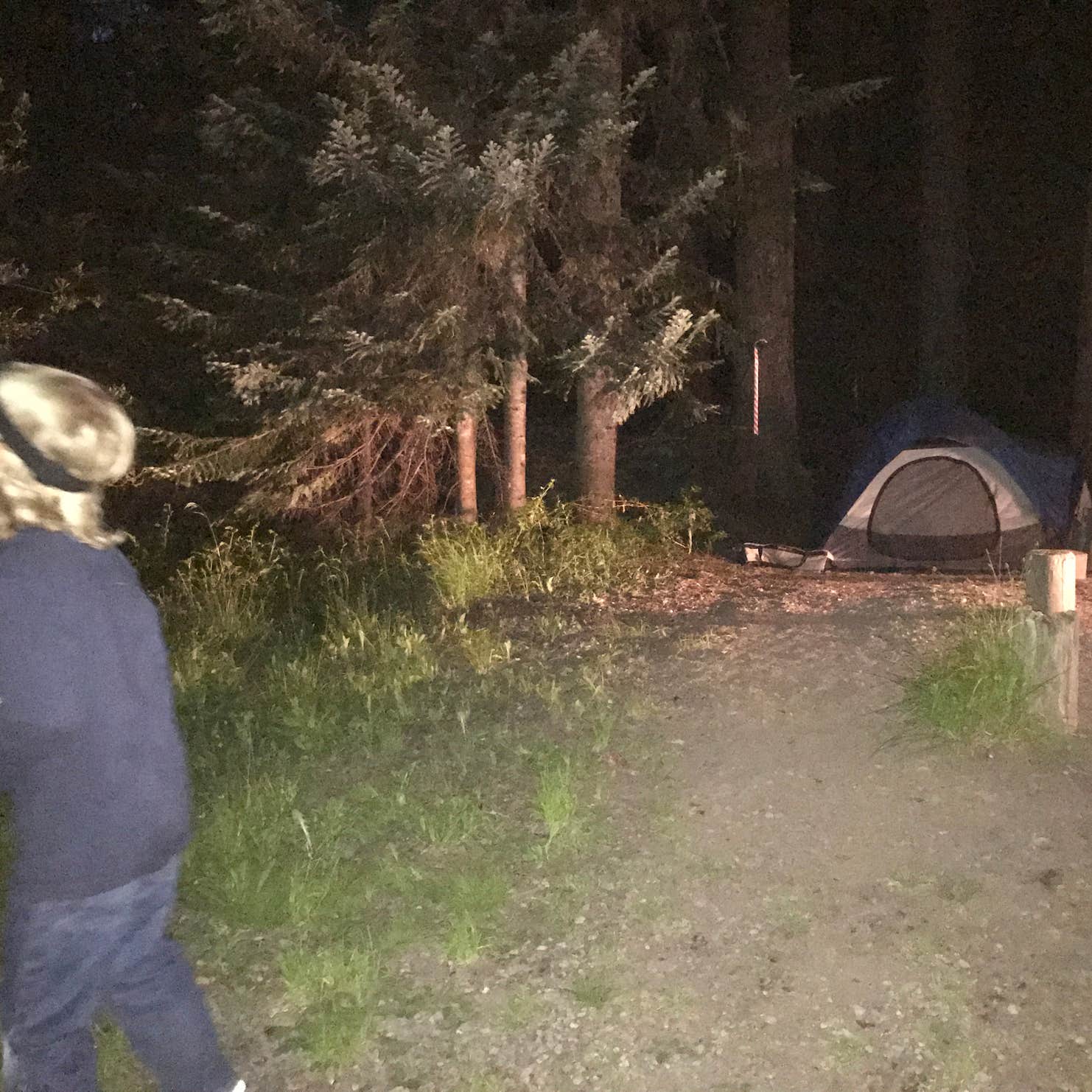 Trapper Creek Campground Camping The Dyrt