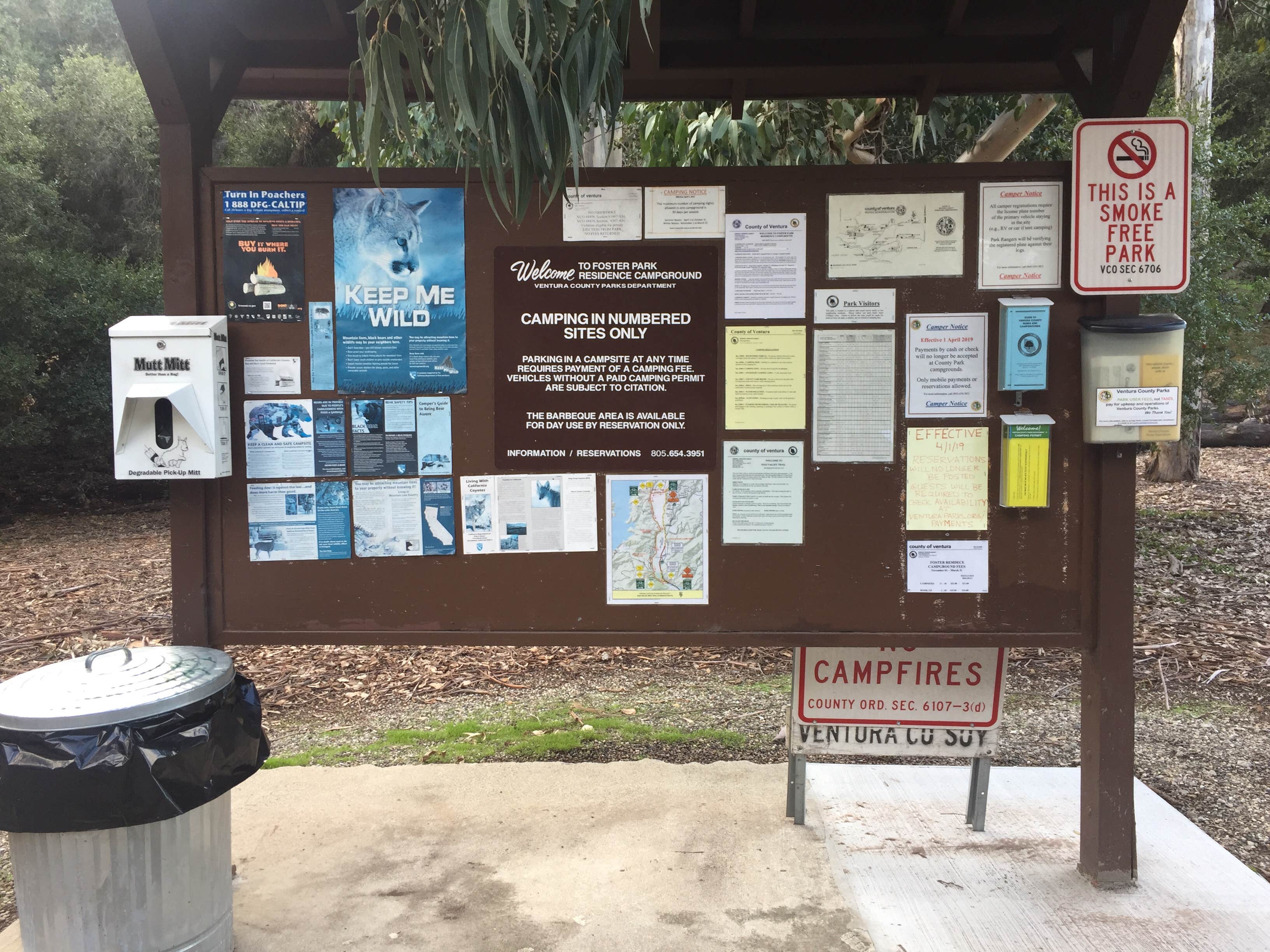 Camper submitted image from Foster Park Campground - TEMPORARILY CLOSED - 3