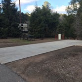 Review photo of Foster Park Campground by C N., December 31, 2019
