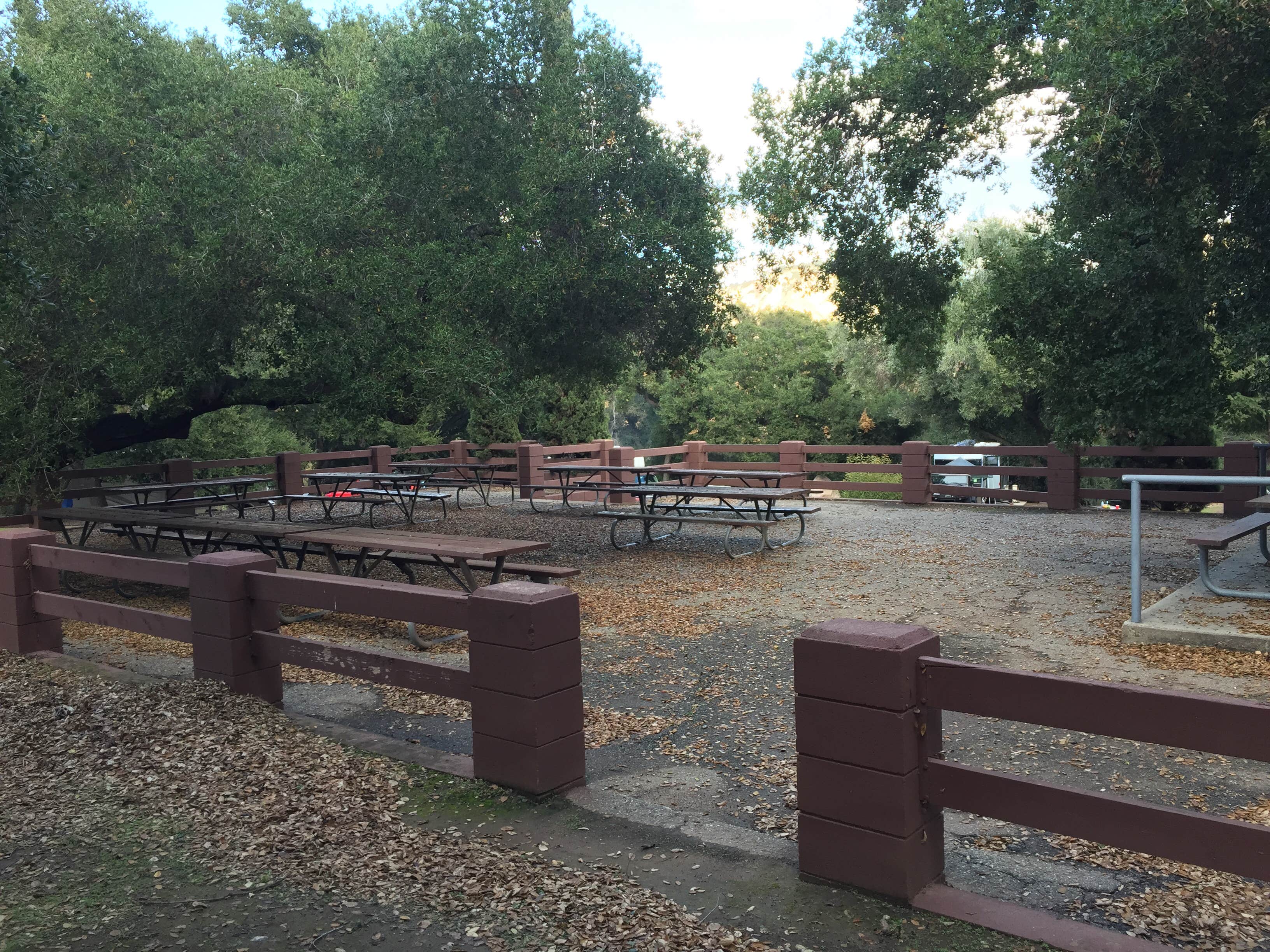 Camper submitted image from Foster Park Campground - TEMPORARILY CLOSED - 4