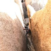 Review photo of Jumbo Rocks Campground — Joshua Tree National Park by C N., December 11, 2019