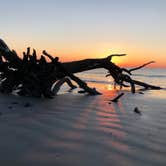 Review photo of Hunting Island State Park Campground by Lee D., December 31, 2019