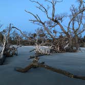 Review photo of Hunting Island State Park Campground by Lee D., December 31, 2019