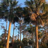 Review photo of Hunting Island State Park Campground by Lee D., December 31, 2019