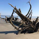 Review photo of Hunting Island State Park Campground by Lee D., December 31, 2019