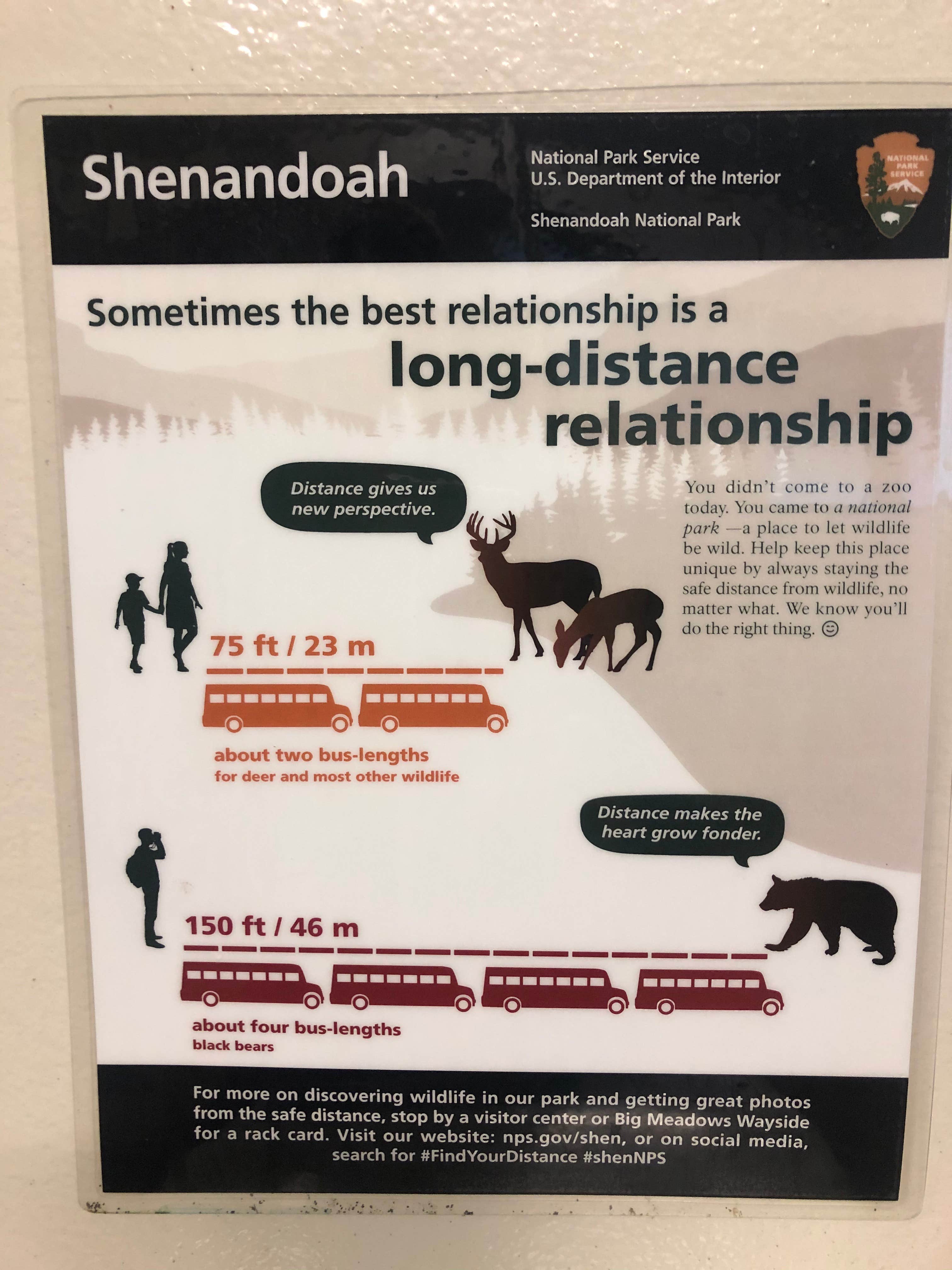 Lee D.'s photo of camping with a horse at Big Meadows Campground — Shenandoah National Park near Front Royal, VA