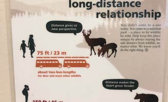 Lee D.'s photo of camping with a horse at Big Meadows Campground — Shenandoah National Park near Swoope, VA