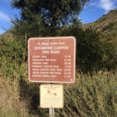 Review photo of Sycamore Canyon Campground — Point Mugu State Park by C N., December 31, 2019