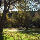 Review photo of Sycamore Canyon Campground — Point Mugu State Park by C N., December 31, 2019