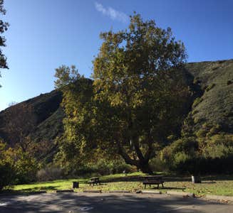Camper-submitted photo from Moro Campground — Crystal Cove State Park
