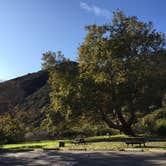 Review photo of Sycamore Canyon Campground — Point Mugu State Park by C N., December 31, 2019