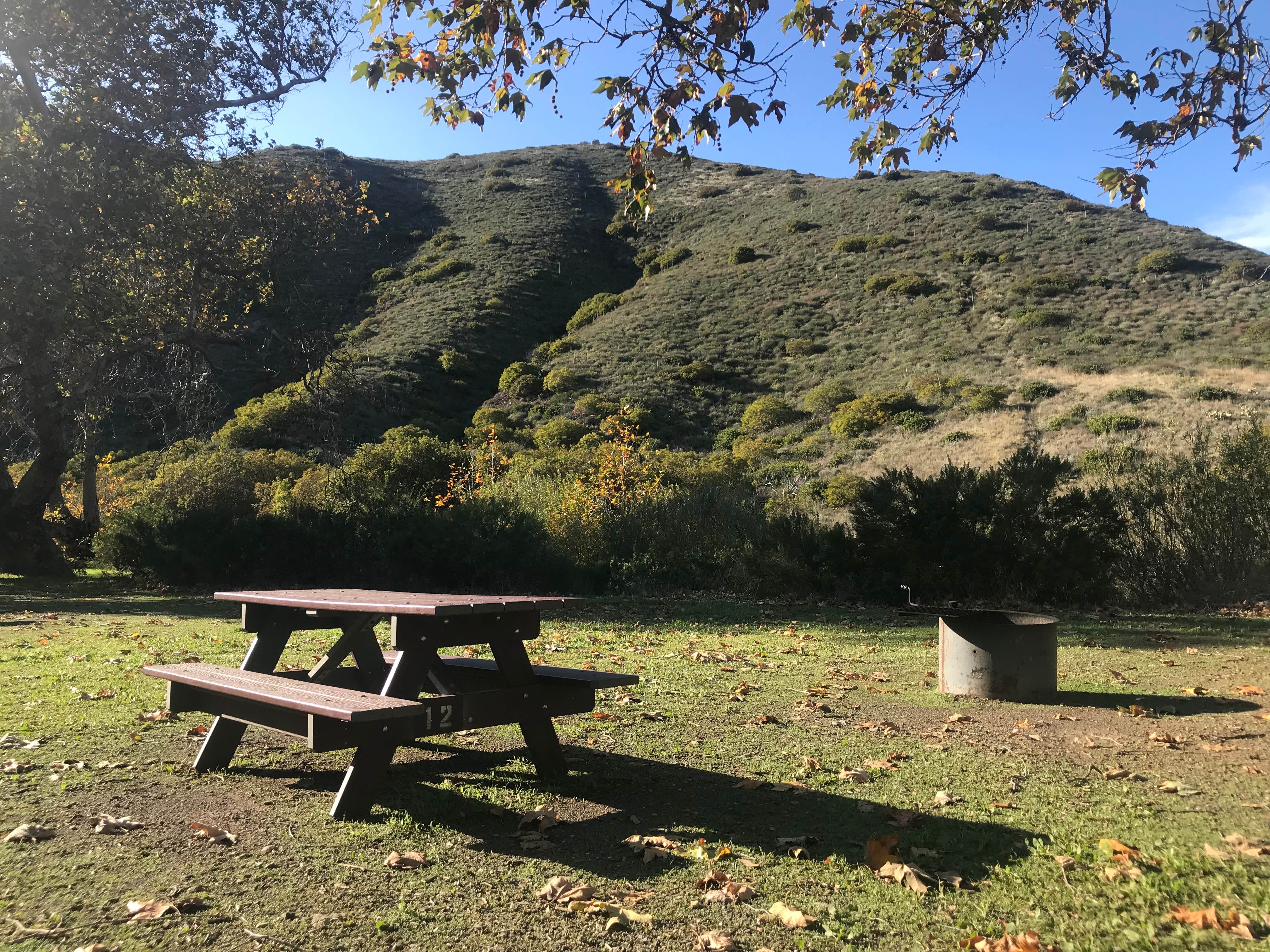 Camper-submitted photo at Sycamore Canyon Campground — Point Mugu State Park near Moorpark, CA