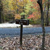 Review photo of Sherando Lake Campground by Lee D., December 31, 2019